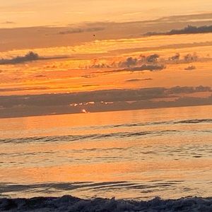 Meet your Posher, Audrey